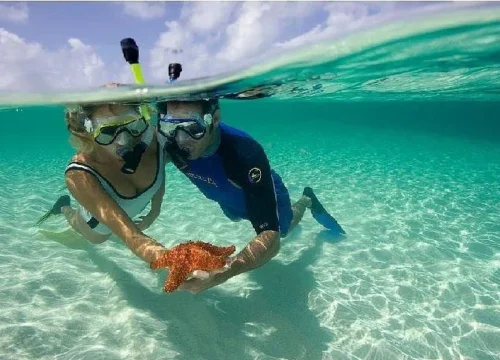 Snorkeling w Sharm el Naga