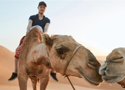 Hurghada Desert Safari Quad Buggy i Jeep Safari & Kolacja BBQ